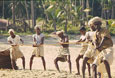 INDIA-Goa-fischermen-bring-in-the-net