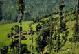 NEPAL-beautiful-trekking-valley