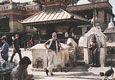 NEPAL-visit-to-the-Swayambunath-Temple