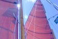 BRAZIL-all-sails-up-